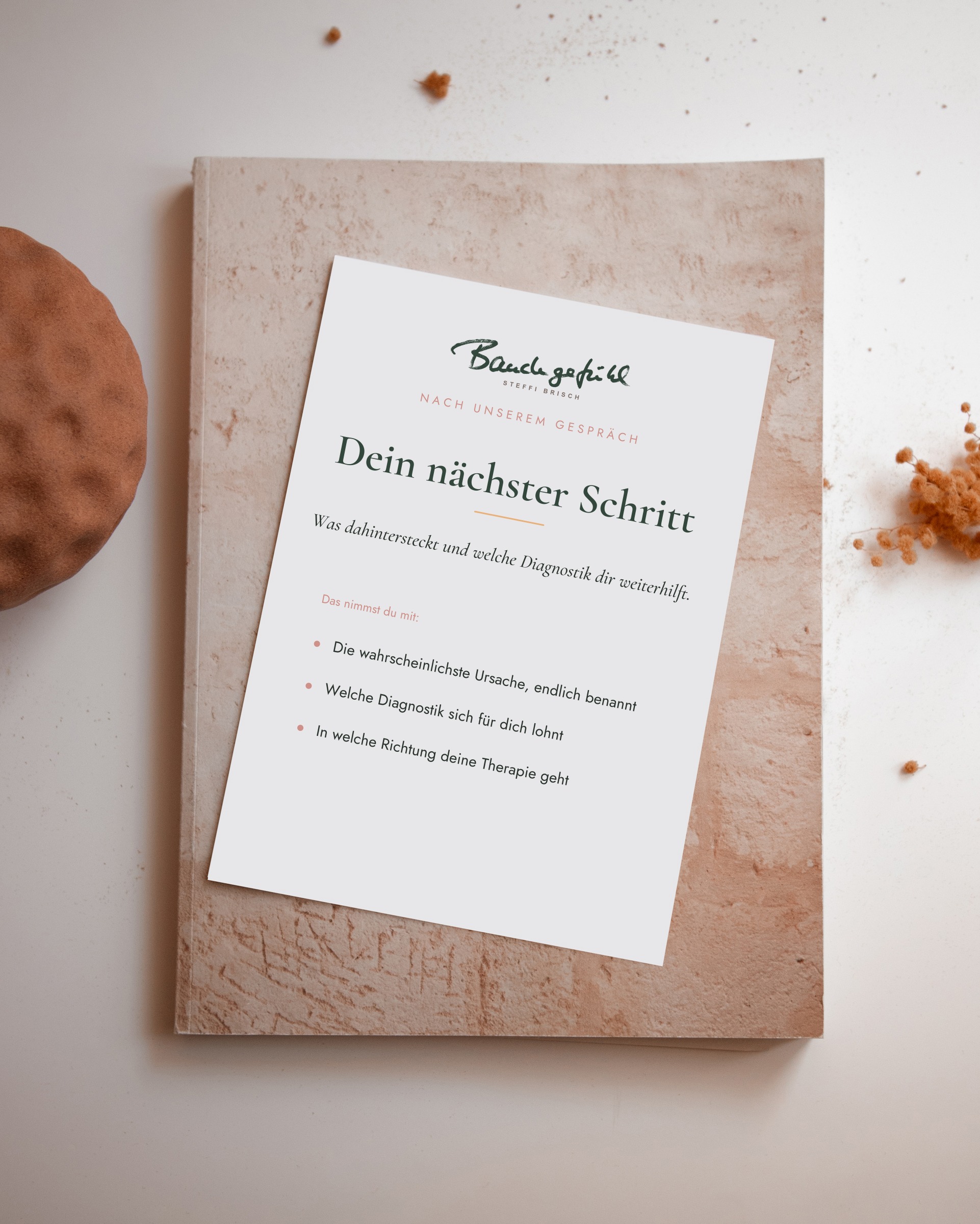 Persönliche schriftliche Einordnung nach dem Erstgespräch bei Heilpraktikerin Steffi Brisch